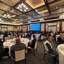 フォトギャラリー